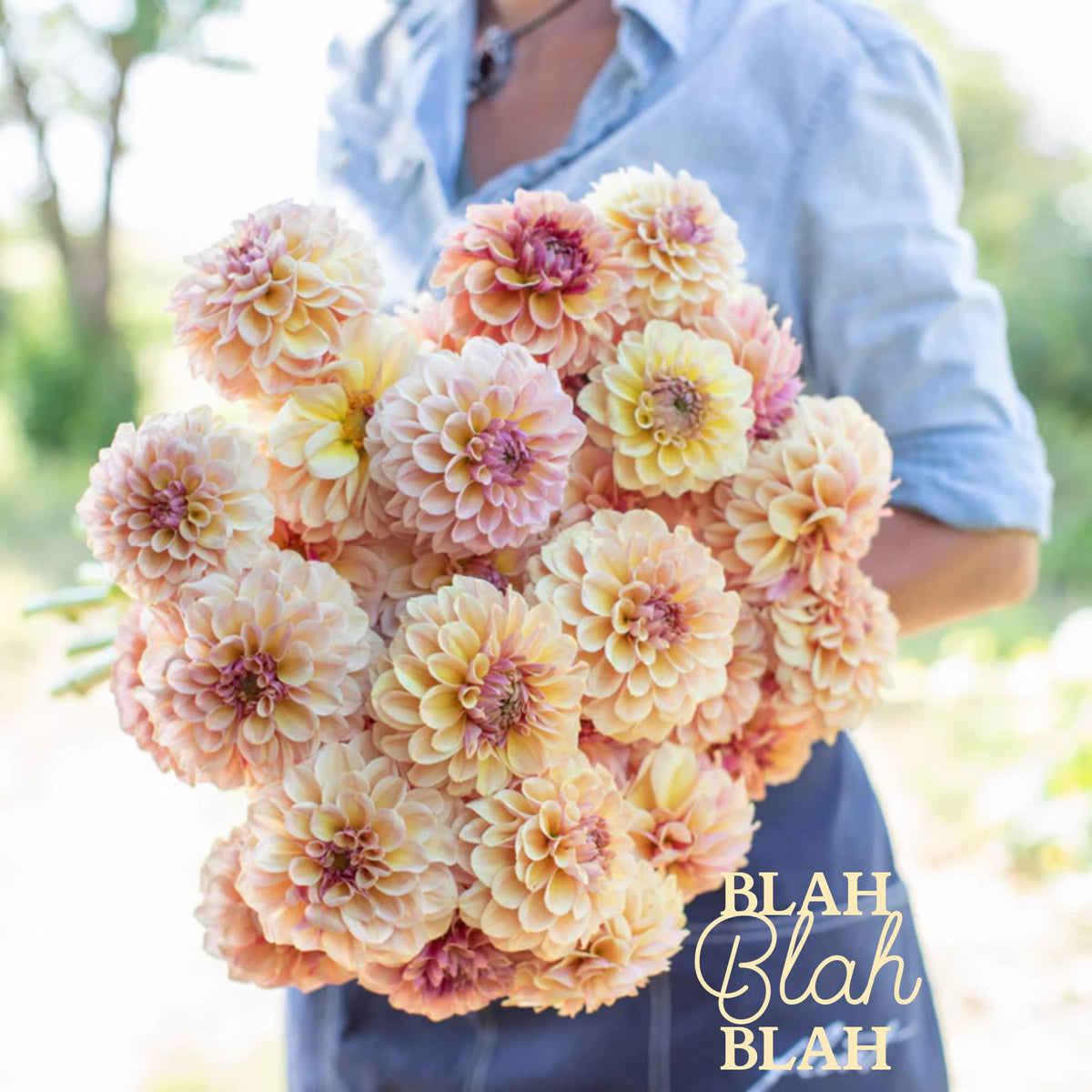 Blah Blah Blah